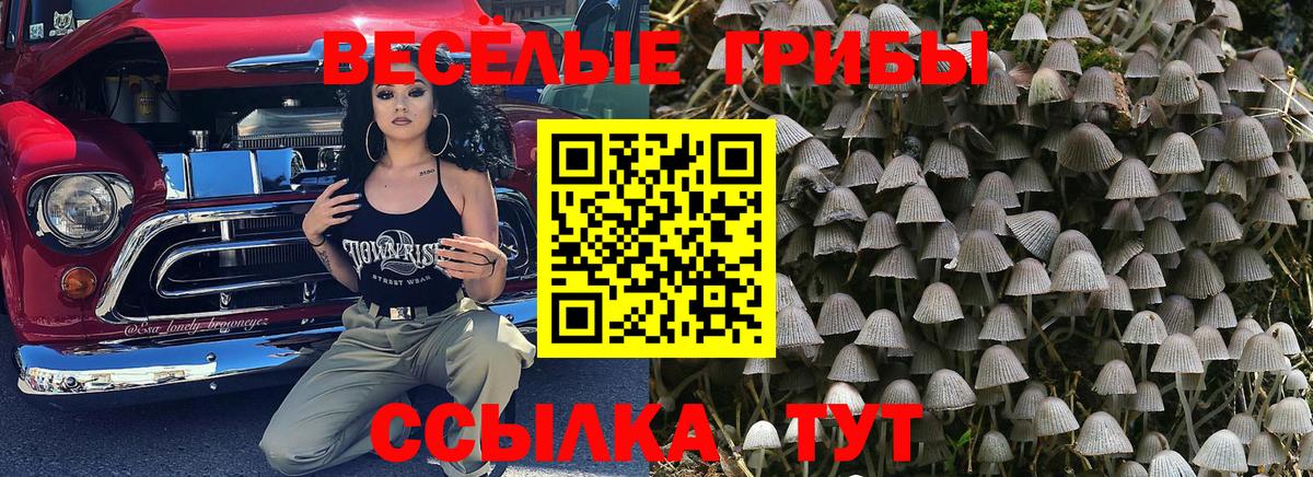 Псилоцибиновые грибы мицелий  Псилоцибиновые грибы Psilocybine cubensis  Вход с VPN  Егорьевск 